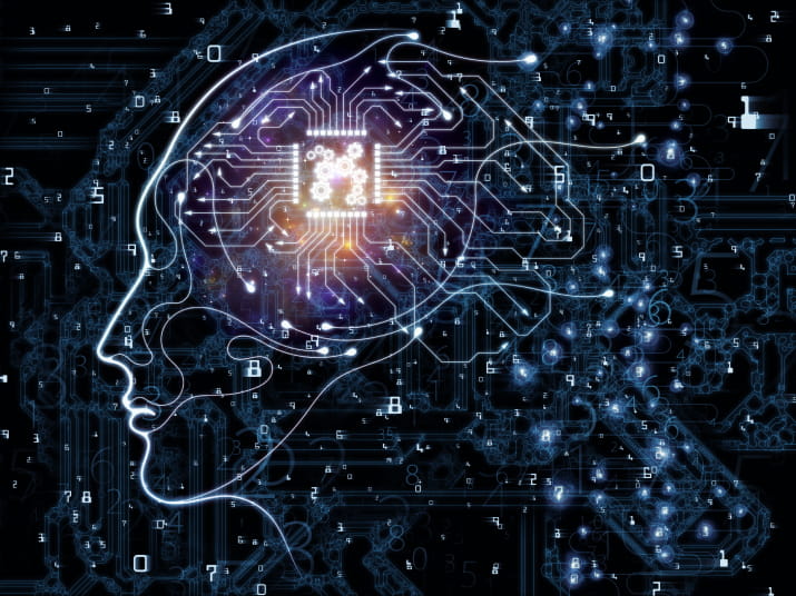 Software of the future